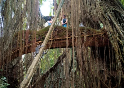 singes et jeunes couples forêt des singes à ubud