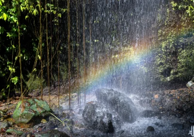 petite cascade sur des roches, végétation et arc en ciel à bali