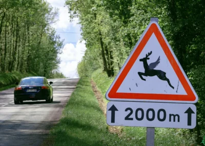 panneau d'attention aux animaux en bord de route