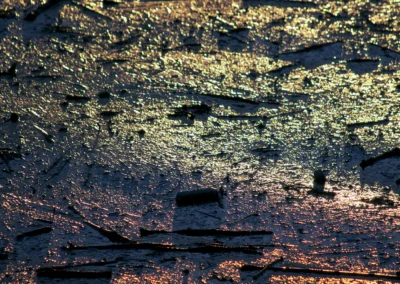 déchets flottants sur l'atlantique, avec des reflets colorés sur la surface de l'eau