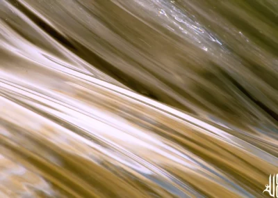 gros plan sur la fluidité de l'eau