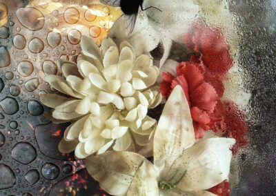 FLORAISON
