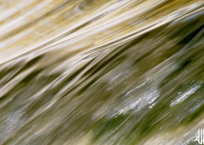 PUR FLUIDE 3