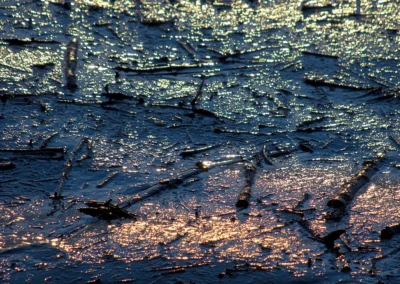 Créations Visuelles et Photomontages Albertocutto