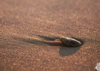 SEX ON THE BEACH
